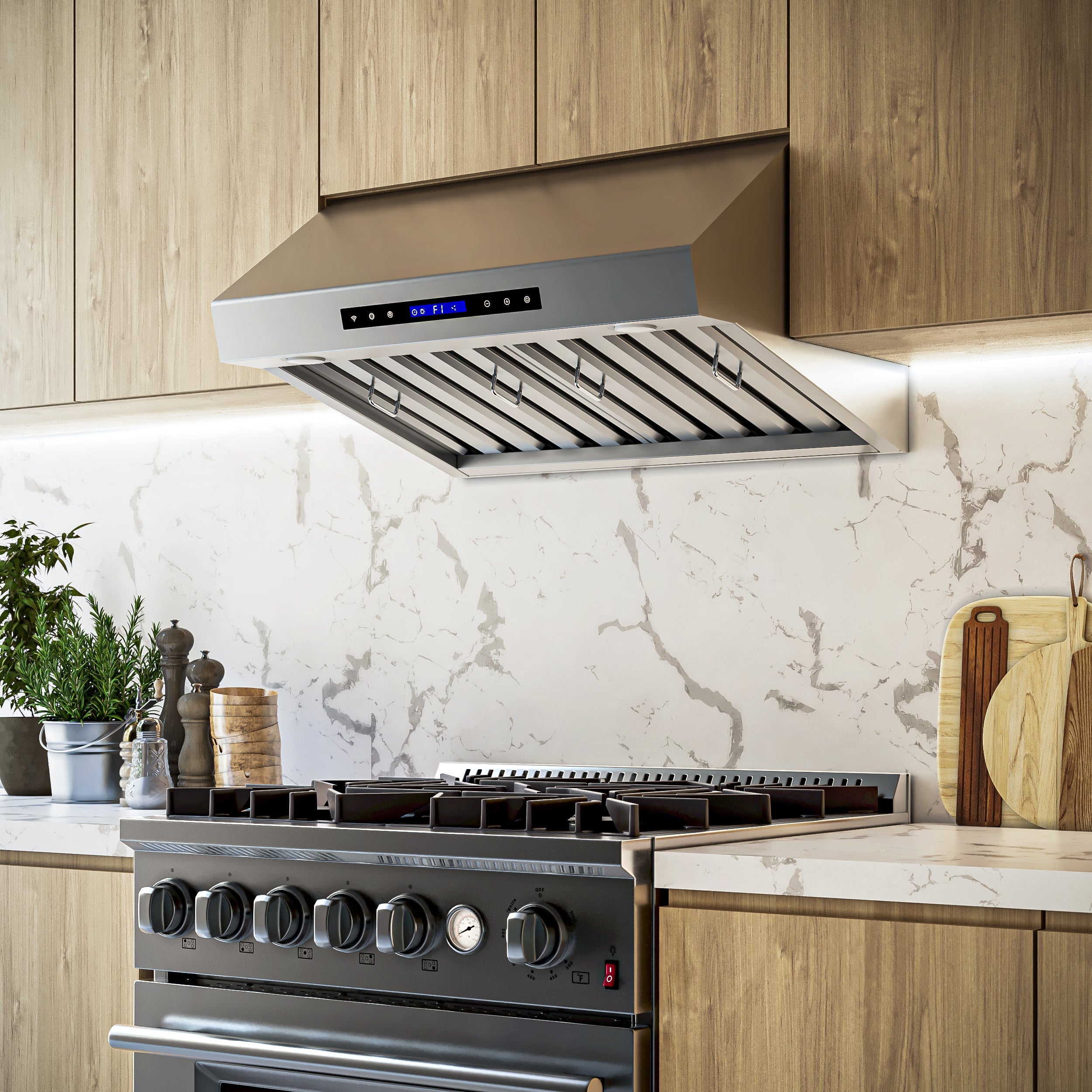 FORNO Palazzo 30'' 500 CFM Wall Mount Range Hood in Stainless Steel