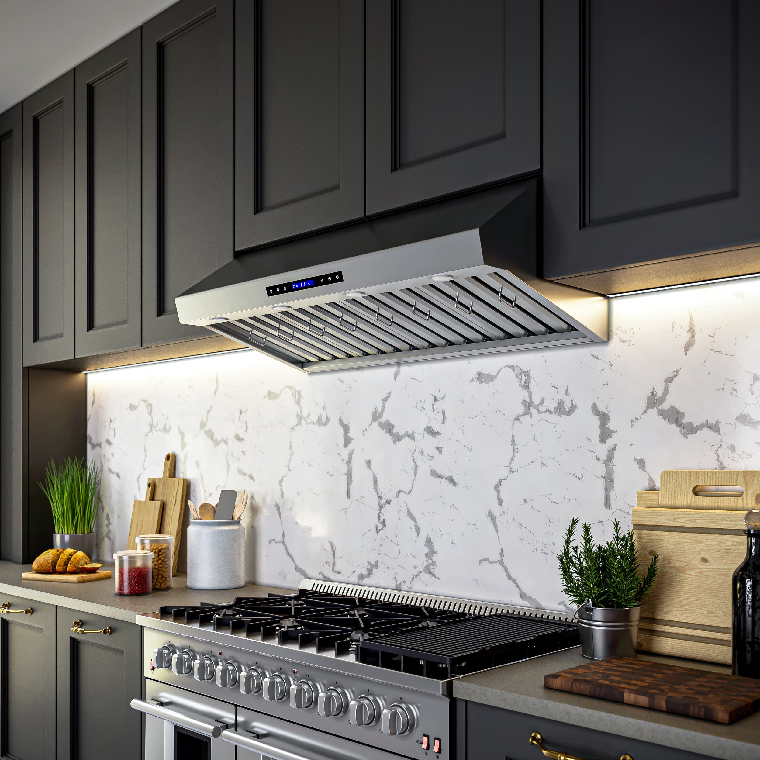 FORNO Palazzo 48'' 1,000 CFM Wall Mount Range Hood in Stainless Steel